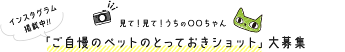 見て！見て！うちの〇〇ちゃん インスタグラム掲載中！！「ご自慢のペットのとっておきショット」大募集