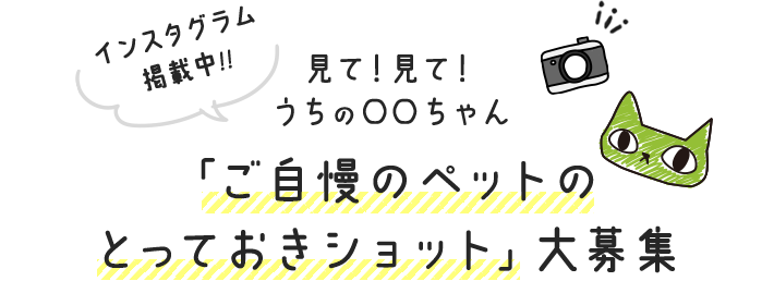 見て！見て！うちの〇〇ちゃん インスタグラム掲載中！！「ご自慢のペットのとっておきショット」大募集